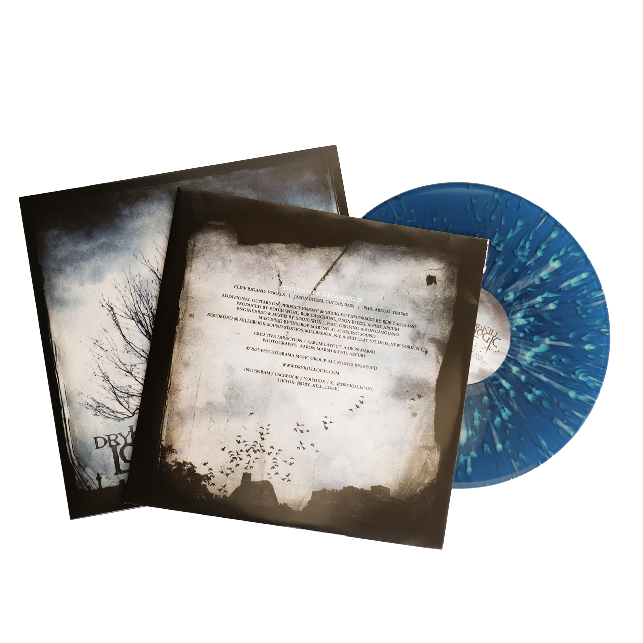 The Dead and Dreaming Vinyl